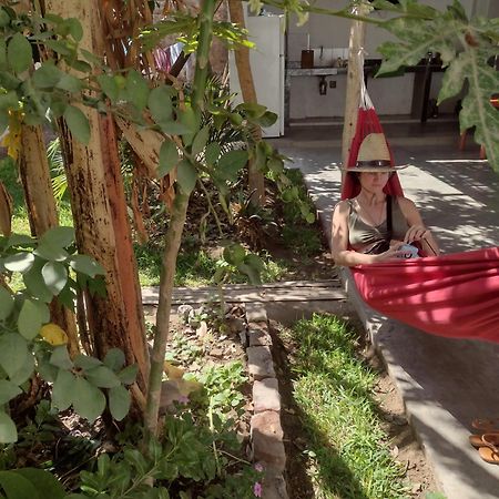 Flying Monkey Hostel Nazca Ngoại thất bức ảnh