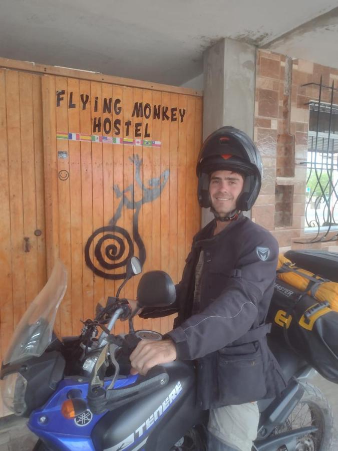 Flying Monkey Hostel Nazca Ngoại thất bức ảnh